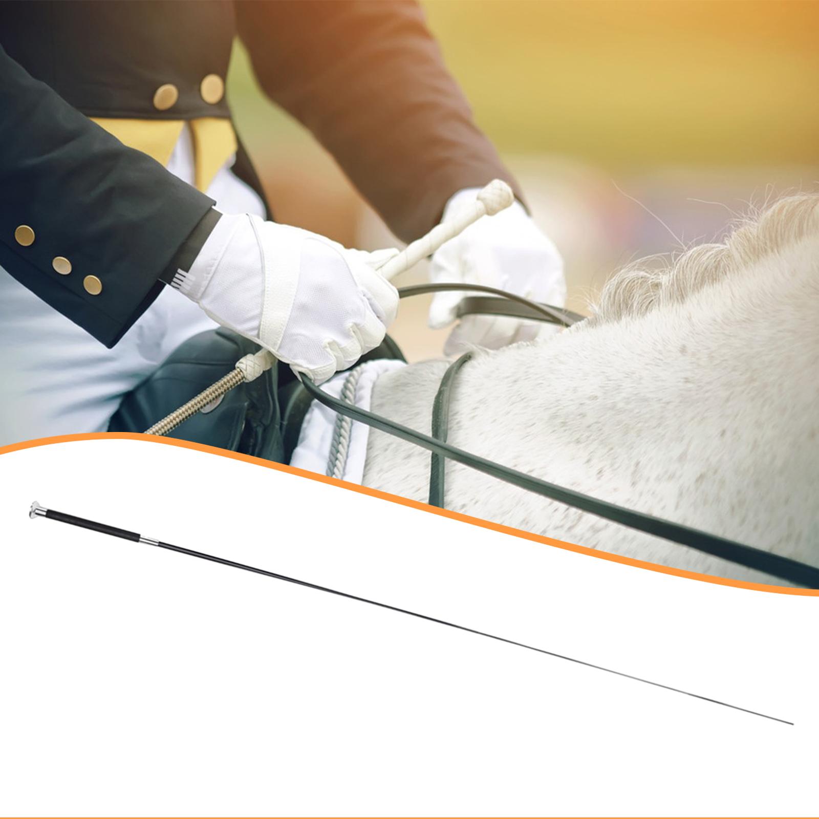Adult Long Metal Nylon Riding  - Riding Crop Dressage ulasan dan harga