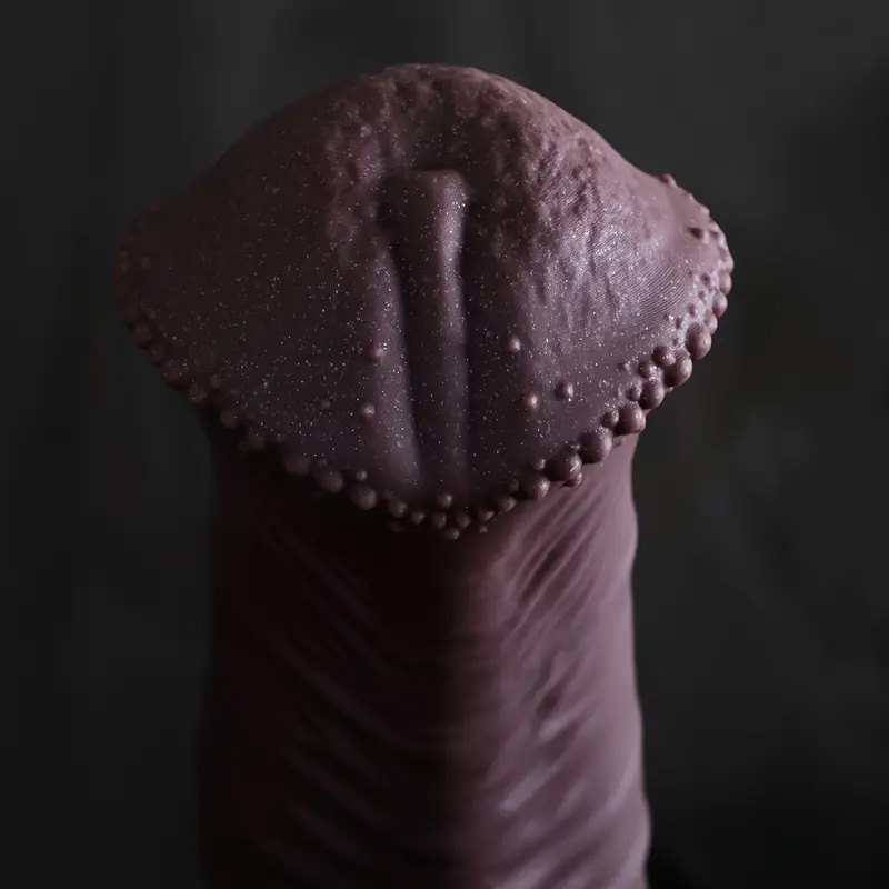 Huge Horse Dildo Anal Plug Sex - Lunge Line Horse ulasan dan harga