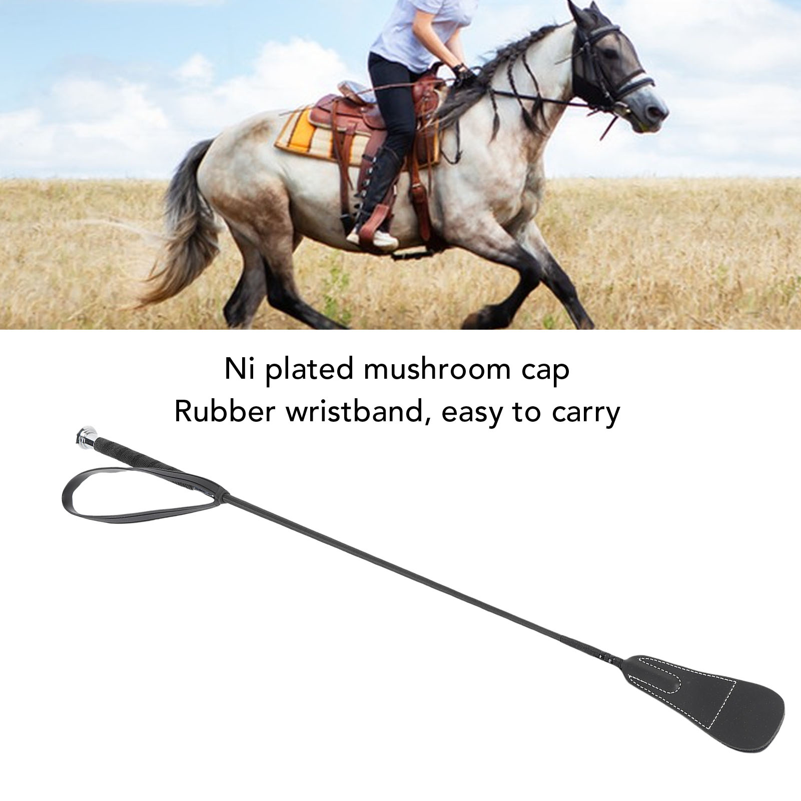 Dressage Whip Riding Whip Ridi - Riding Crop Dressage ulasan dan harga