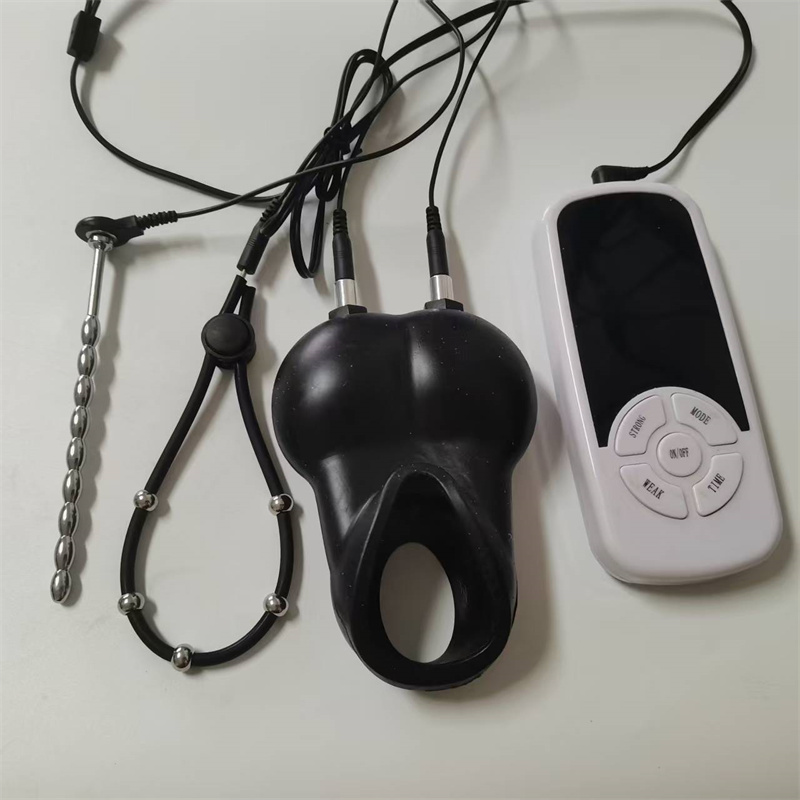 Horse Eye Stick Urethral Sound - Lunge Line Horse ulasan dan harga