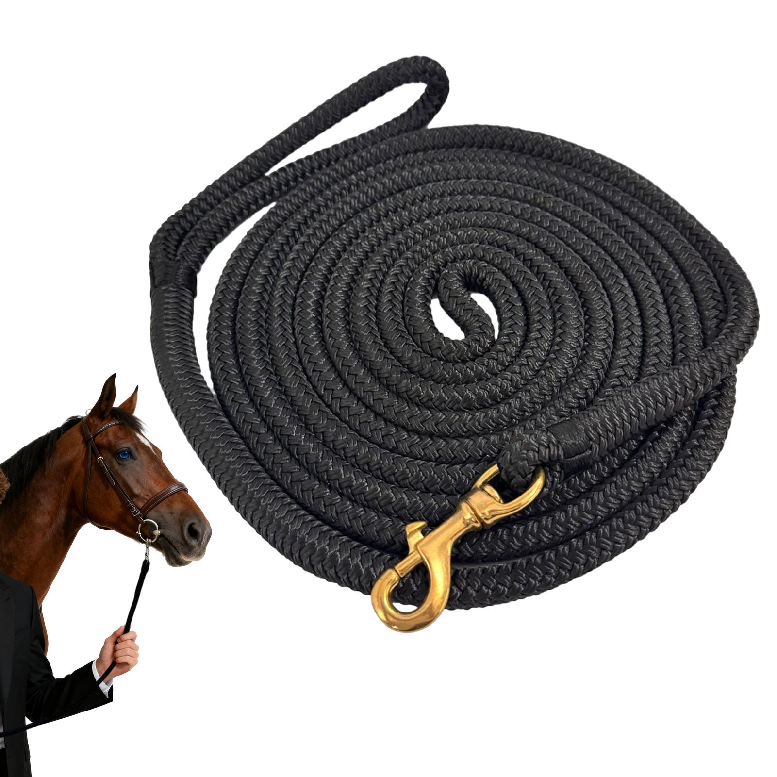 Horse Lunge Line Performance H - Lunge Line Horse ulasan dan harga